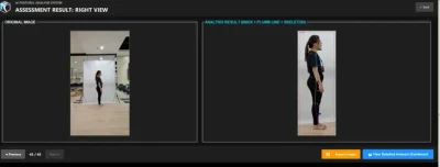 Analysis visualization